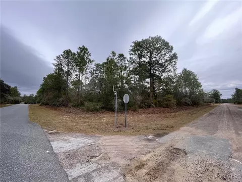 6671 N Dunlap Ter, Citrus Springs, FL 34433