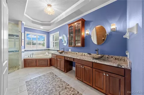 Bath - 161 W Redsox Path, Hernando, FL 34442 photo 3 of 6