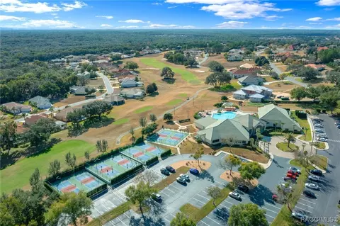 View/Area - 161 W Redsox Path, Hernando, FL 34442 photo 7 of 7