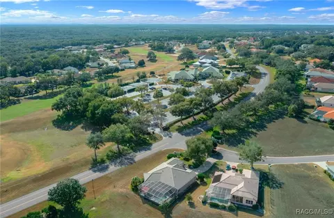 View/Area - 161 W Redsox Path, Hernando, FL 34442 photo 6 of 7