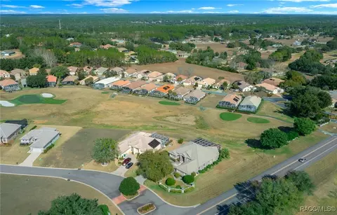View/Area - 161 W Redsox Path, Hernando, FL 34442 photo 5 of 7