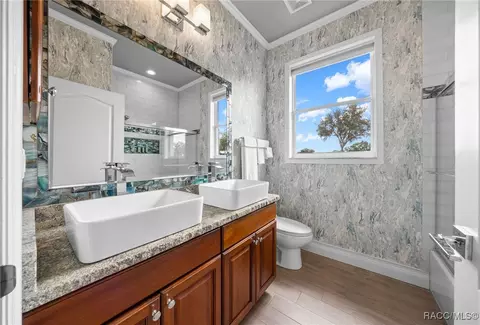 Bath - 161 W Redsox Path, Hernando, FL 34442 photo 2 of 6