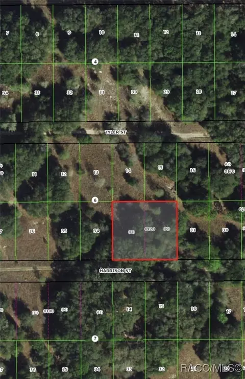 2404 Harrison St, Inverness, FL 34453