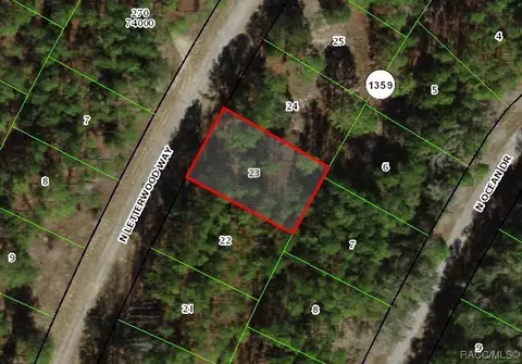 10905 N Letterwood Way, Citrus Springs, FL 34434