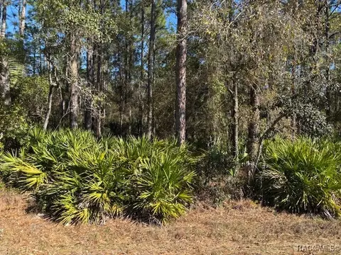 2659 S Bolton Ave, Homosassa, FL 34448
