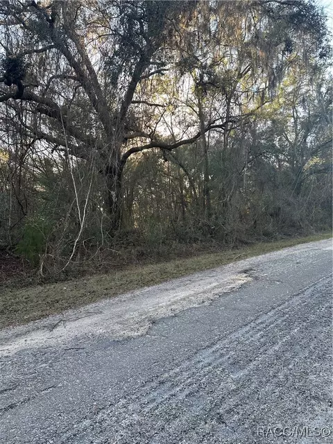 8276 N Elida Ave, Citrus Springs, FL 34434