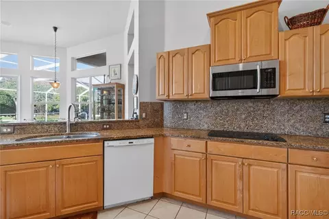 319 W Redsox Path, Hernando, FL 34442 photo 16