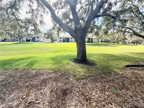Exterior - 370 E Glassboro Ct, Hernando, FL 34442 photo 7 of 7