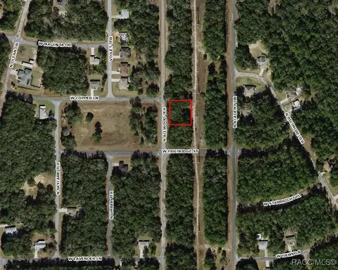 10669 N Allwood Ter, Dunnellon, FL 34434