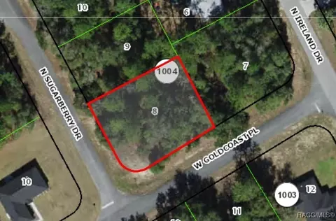7363 N Sugarberry Dr, Citrus Springs, FL 34434