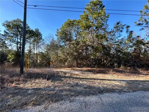 7814 N Pocono Dr, Citrus Springs, FL 34434