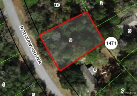 11057 N Tigerwood Ter, Citrus Springs, FL 34434