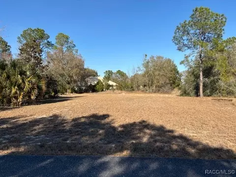 3178 N Barton Creek Cir, Lecanto, FL 34461