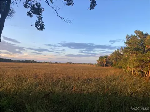 11803 W Timberlane Dr, Homosassa, FL 34448