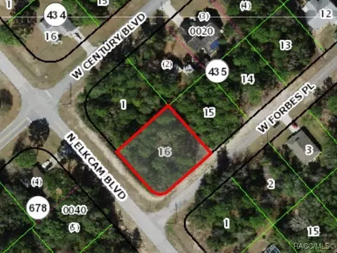 2851 W Forbes Pl, Citrus Springs, FL 34434