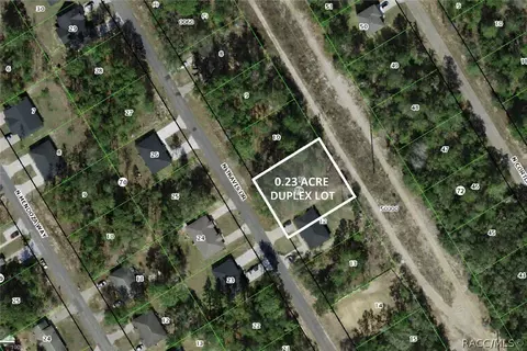 9219 N Travis Dr, Citrus Springs, FL 34434