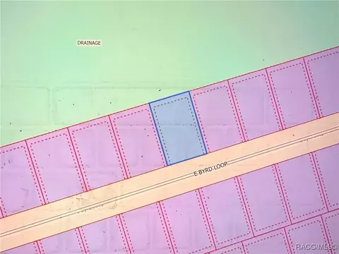 781 E Byrd Loop, Dunnellon, FL 34434 photo 2