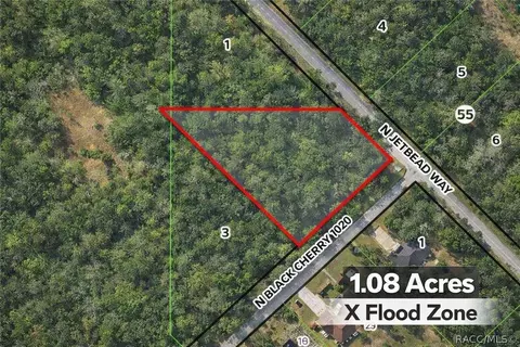 8292 N Black Cherry Ter, Crystal River, FL 34428