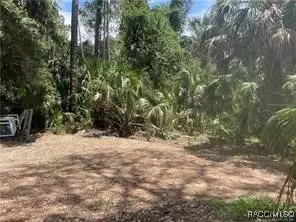 345 Sapp St, Inglis, FL 34449 photo 2