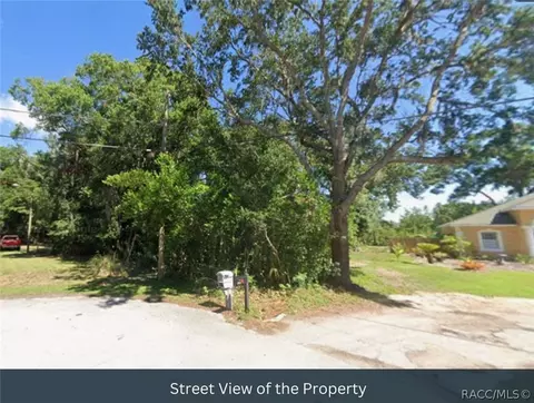 tbd Blount Rd, Lutz, FL 33558 photo 12