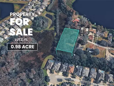 tbd Blount Rd, Lutz, FL 33558