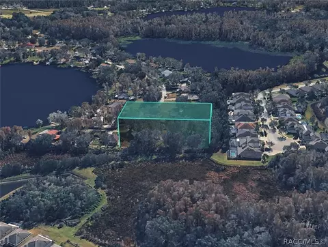 tbd Blount Rd, Lutz, FL 33558 photo 24