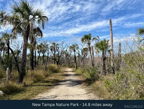 tbd Blount Rd, Lutz, FL 33558 photo 18