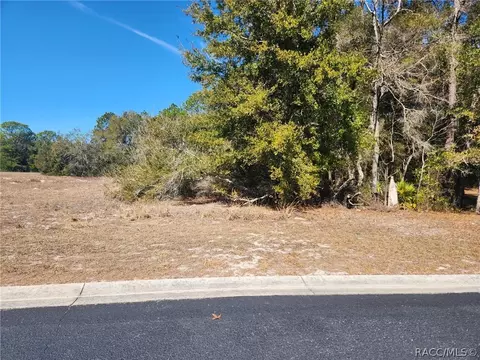 7935 W Fostoria Dr, Dunnellon, FL 34433
