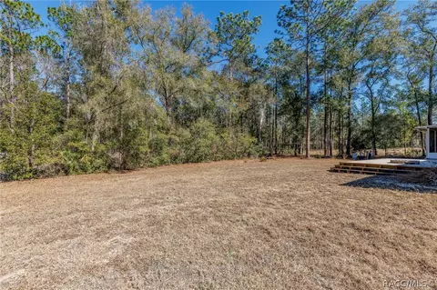 1107 E Bluebird Ct, Hernando, FL 34442 photo 47