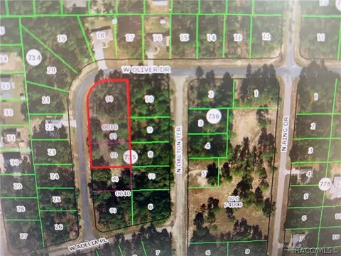 1930 W Oliver Dr, Citrus Springs, FL 34434