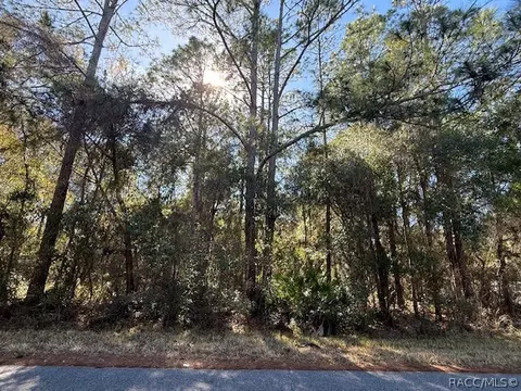 4280 E Nugget Pass Pl, Dunnellon, FL 34434