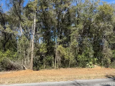 3667 E Orchid St, Hernando, FL 34442 photo 3