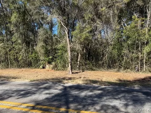 3667 E Orchid St, Hernando, FL 34442 photo 5