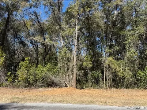 3667 E Orchid St, Hernando, FL 34442