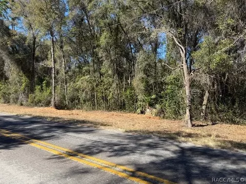 3667 E Orchid St, Hernando, FL 34442 photo 6