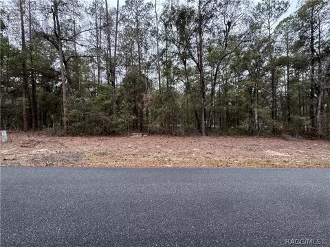 10364 N Academy Dr, Citrus Springs, FL 34434