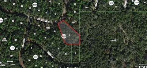 8267 N Escobar Rd, Dunnellon, FL 34434