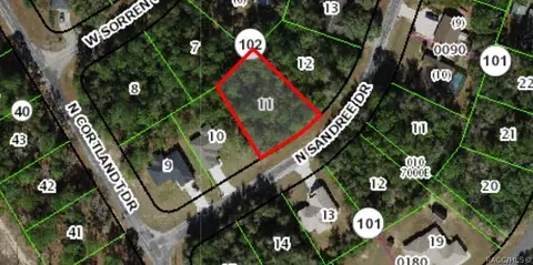 9991 N Sandree Dr, Citrus Springs, FL 34434