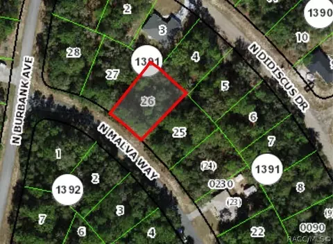 10725 N Malva Way, Dunnellon, FL 34434