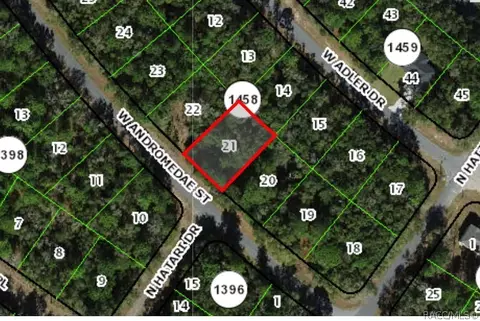 2121 W Andromedae Dr, Citrus Springs, FL 34434