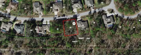 38 Livingstone Daisy Ct, Homosassa, FL 34446