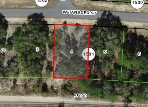 2654 W Tanager St, Citrus Springs, FL 34433
