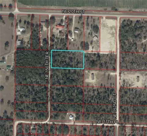tbd NE 150th Ter, Williston, FL 32696 photo 4