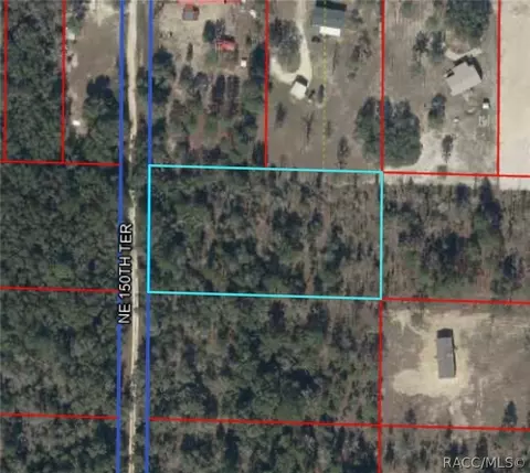 tbd NE 150th Ter, Williston, FL 32696