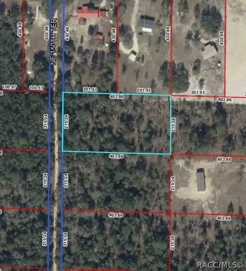 tbd NE 150th Ter, Williston, FL 32696 photo 2