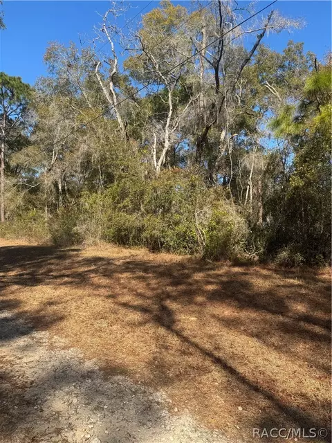 3067 E Christopher Ln, Inverness, FL 34453