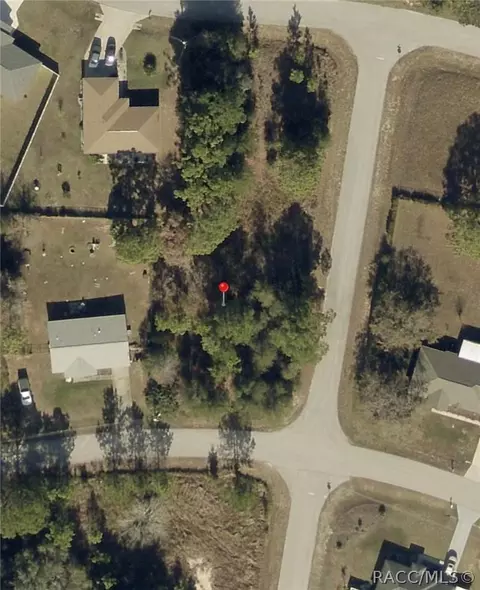 29 Pine Trace Loop, Ocala, FL 34472 photo 2