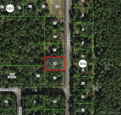 9538 N Lily Dr, Citrus Springs, FL 34434