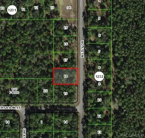9538 N Lily Dr, Citrus Springs, FL 34434
