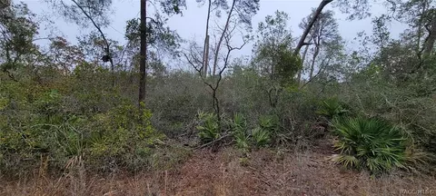 6345 N Polar Pt, Dunnellon, FL 34433